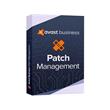 Avast Business Patch Management (20-49) na 1 rok