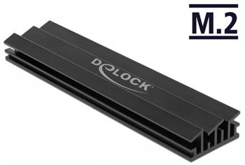 Delock Chladič 100 mm pro modul M.2 černý
