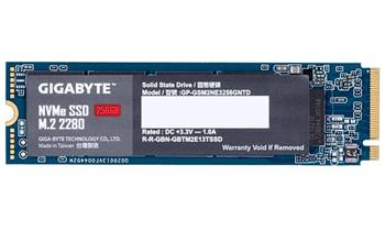 GIGABYTE SSD 256GB M.2